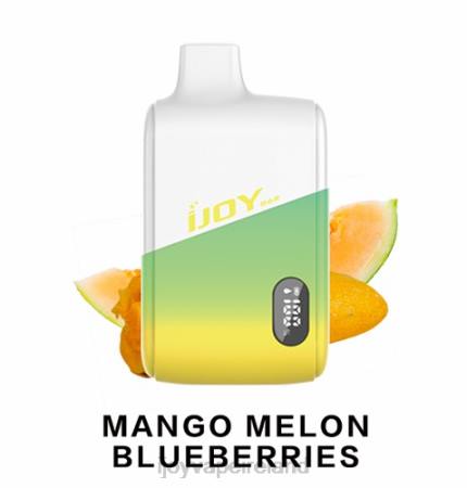 Mango Melon Blueberries