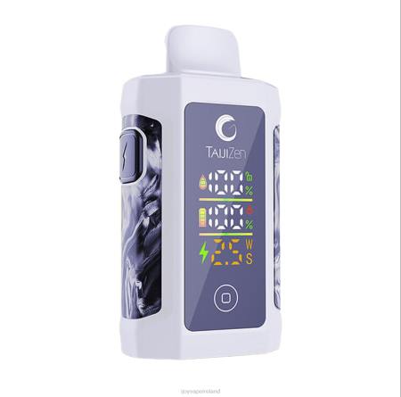 iJOY vape for sale - iJOY TaijiZen Judo 24000 Disposable Vape 062L55 Blue Raspberry Ice